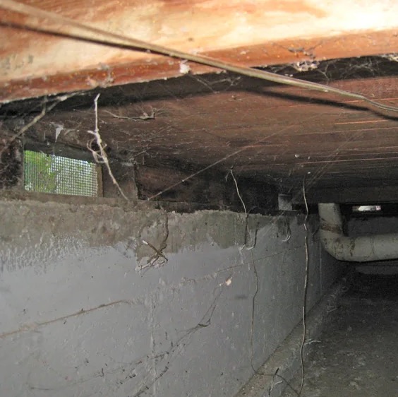 Crawlspace Encapsulation in Los Angeles, CA