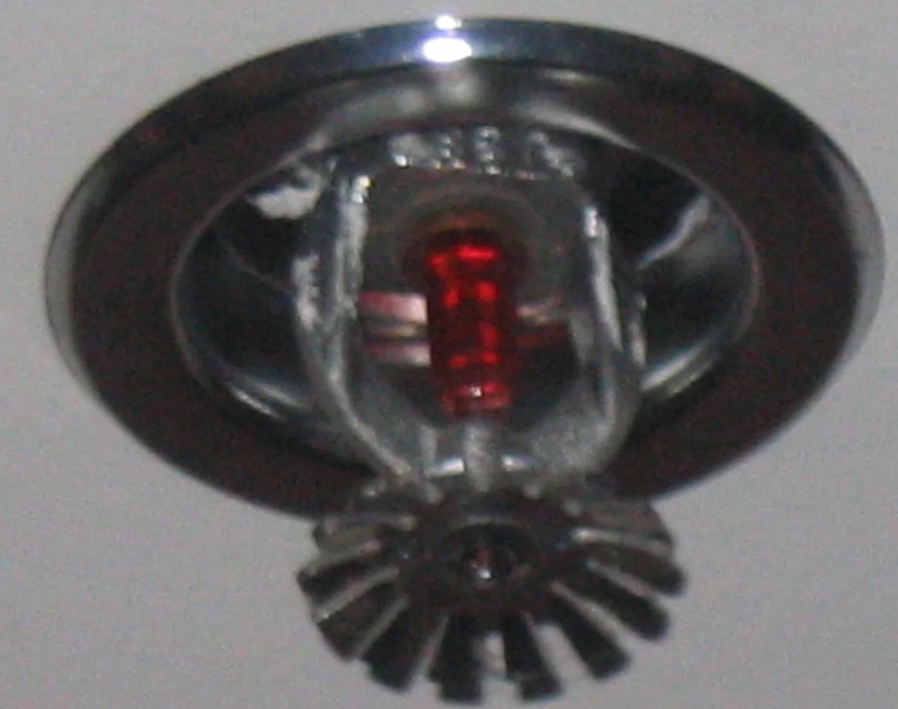Sprinkler System Water Removal in Downey, CA