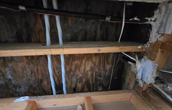 Window Leak Water Removal in South Pasadena, CA