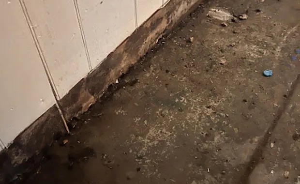 Suicide Cleanup in Los Angeles, CA